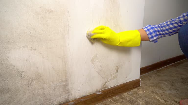 Forensic Mold Investigation in Wesley Chapel, NC